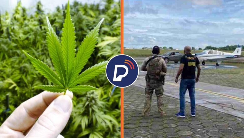 Avião de IGREJA é apreendido com 290 KG de MACONHA